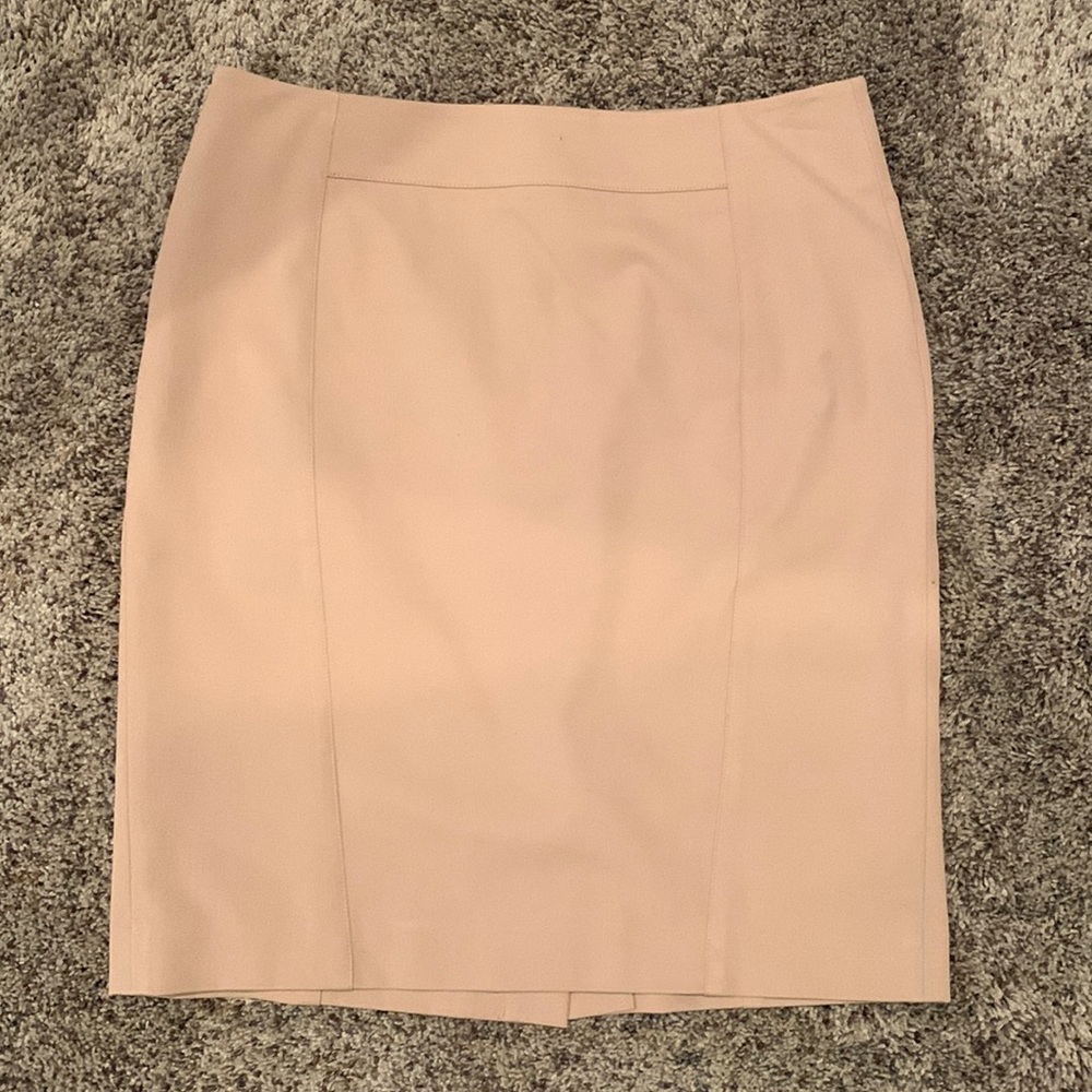 Ann Taylor Petite skirt